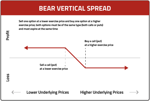 img-bear-vertical-spread