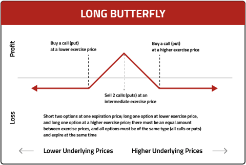 img-long-butterfly